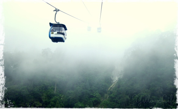 #tfp cable car